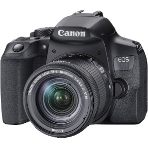 Canon